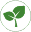 isologo